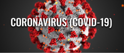 Six months of coronavirus