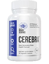 Boston Brain Science Cerebra 