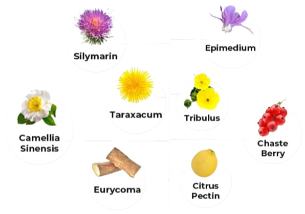 Femmelean_ingredient