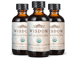 Wisdom Bible Based Supplement Reviews