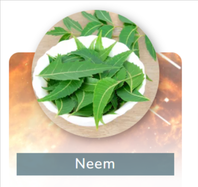 neem