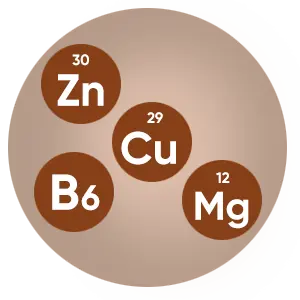 Zinc, Copper, Magnesium, and Vitamin B6